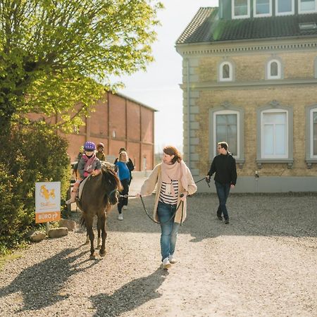 Buedlfarm - Der Familien-Erlebnishof In Strandnaehe 费马恩 外观 照片